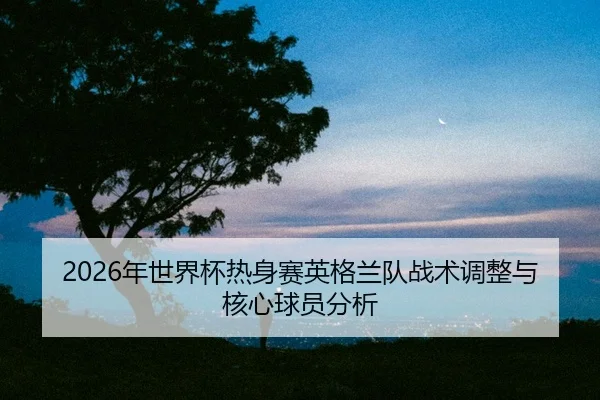 nian-shi-jie-bei-re-shen-sai-ying-ge-lan-dui-zhan-shu-tiao-zheng-yu-he-xin-qiu-yuan-fen-xi-2-298.jpg