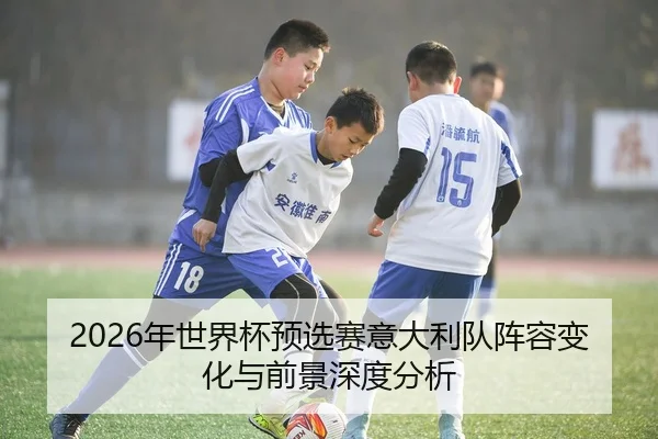 2026年世界杯预选赛意大利队阵容变化与前景深度分析