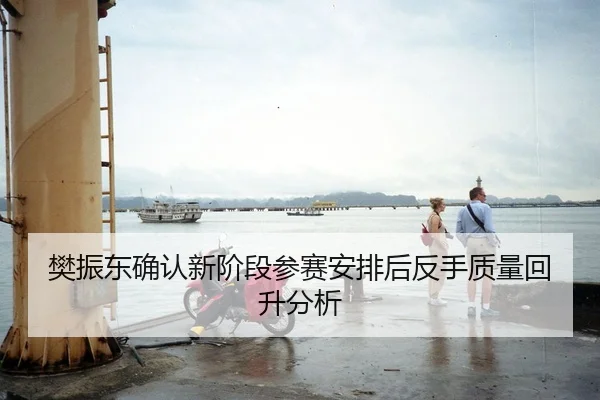 樊振东确认新阶段参赛安排后反手质量回升分析