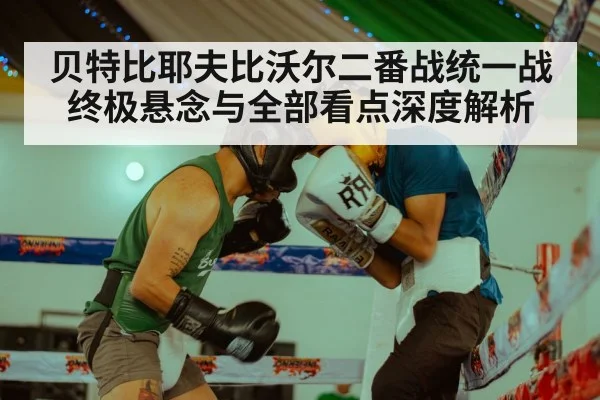 贝特比耶夫比沃尔二番战统一战终极悬念与全部看点深度解析